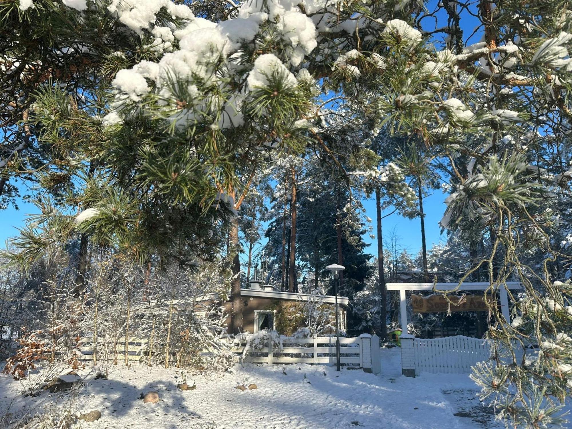 Вилла Sosnowy Azyl Вонгликовице Экстерьер фото